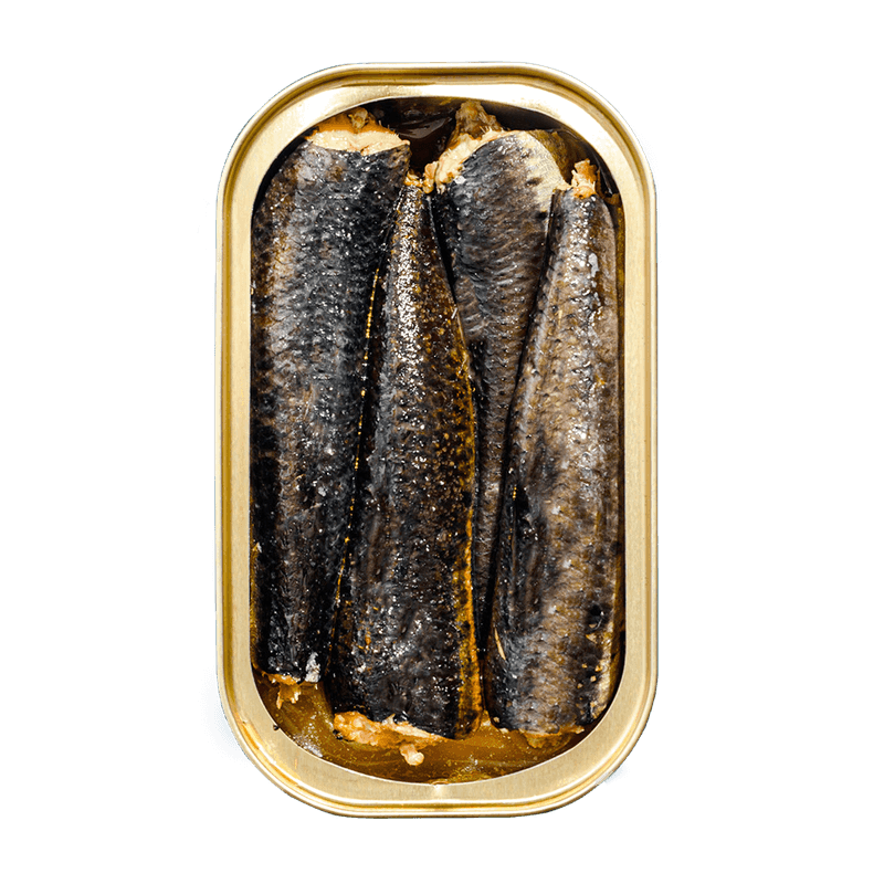 Sardines