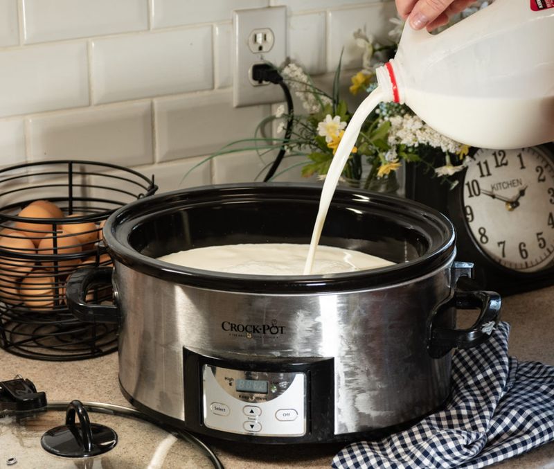 Homemade Yogurt