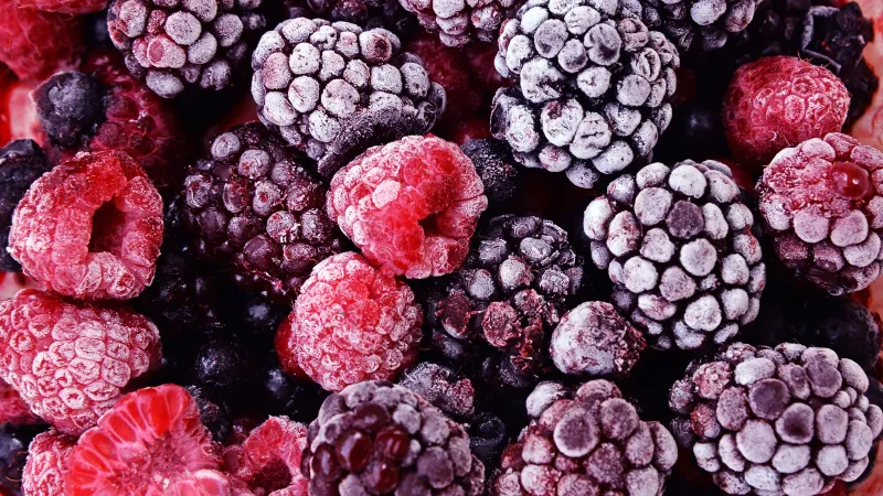 Fresh Food Is Always Better Than Frozen