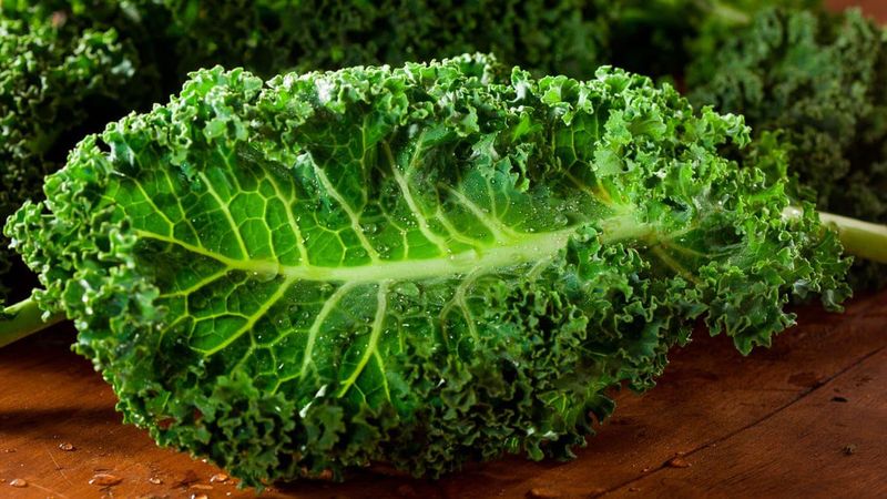 Kale