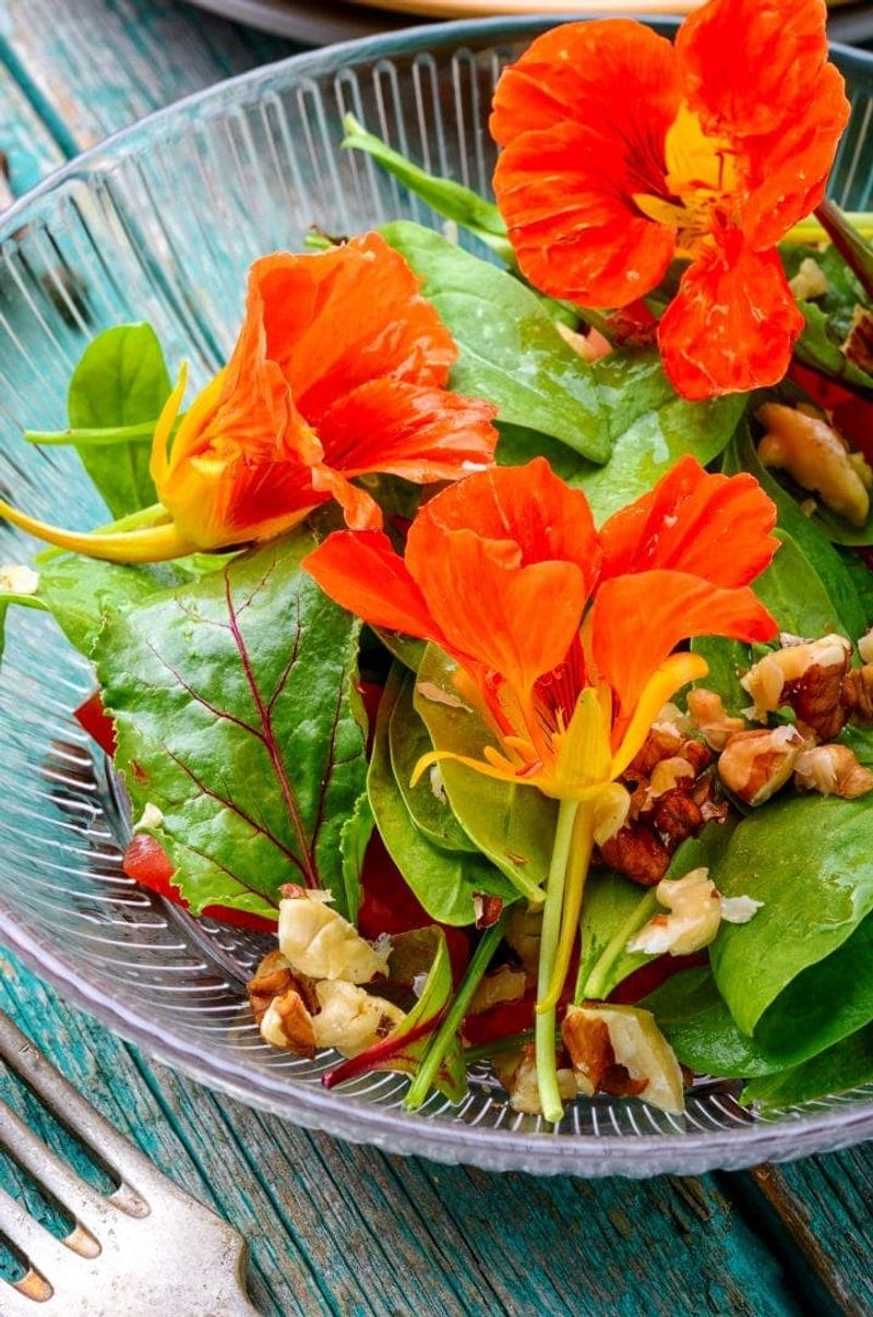 Nasturtium