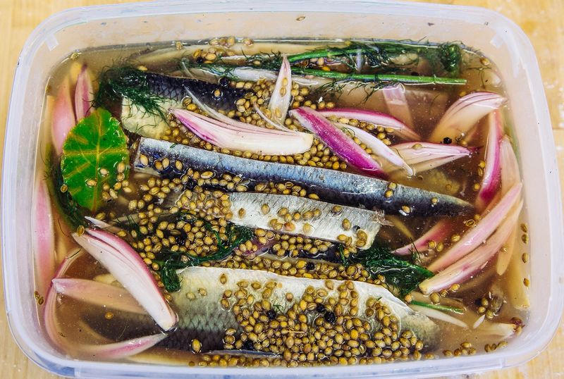 Soused Herrings