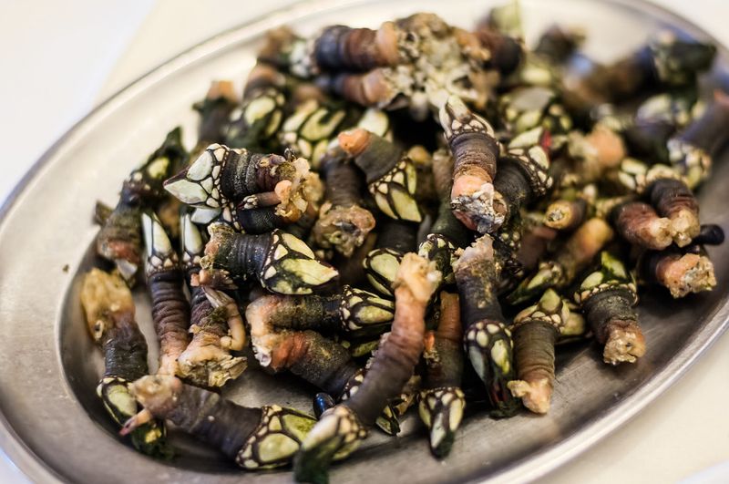 Barnacle Tapas