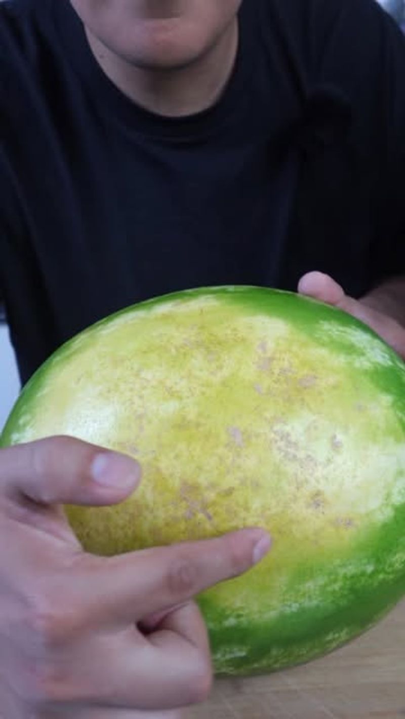 Flat Watermelon