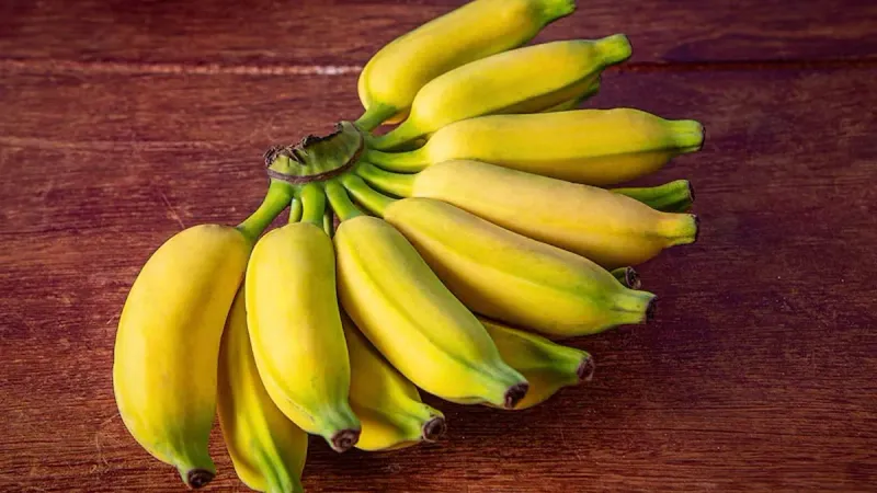 Bananas