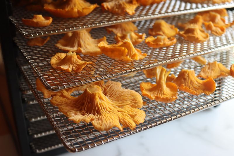 Dehydrate Mushrooms for Long-Term Pantry Storage