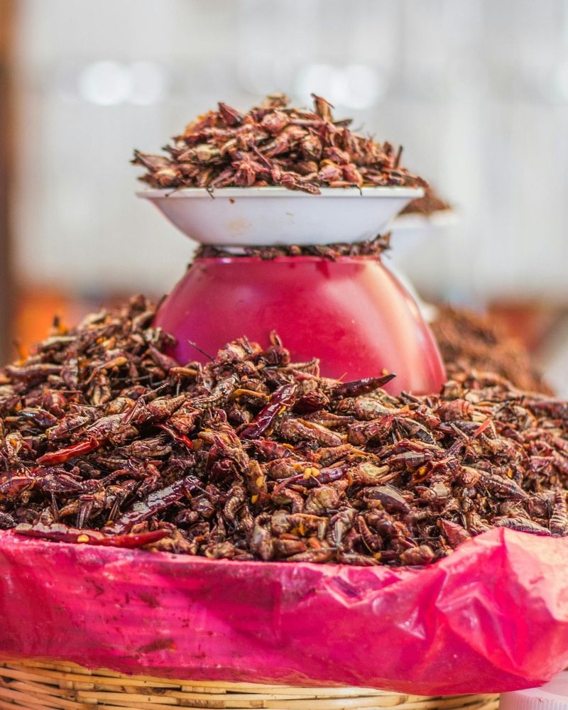 Chapulines - Mexico