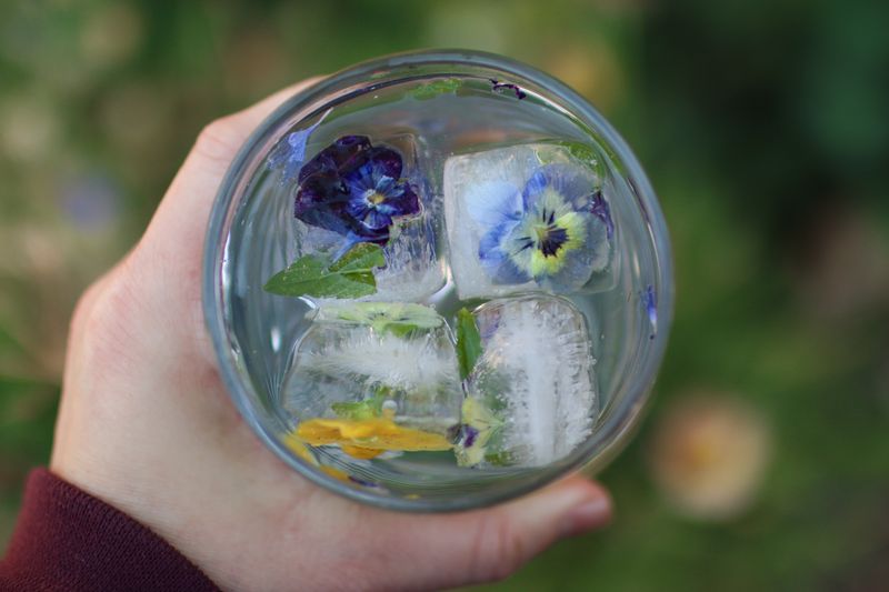 Borage Flower Ice Cubes