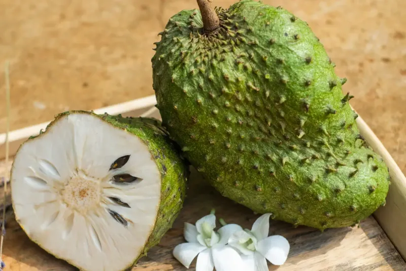 Soursop (Graviola)