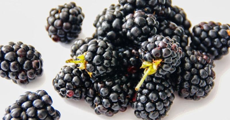Blackberries