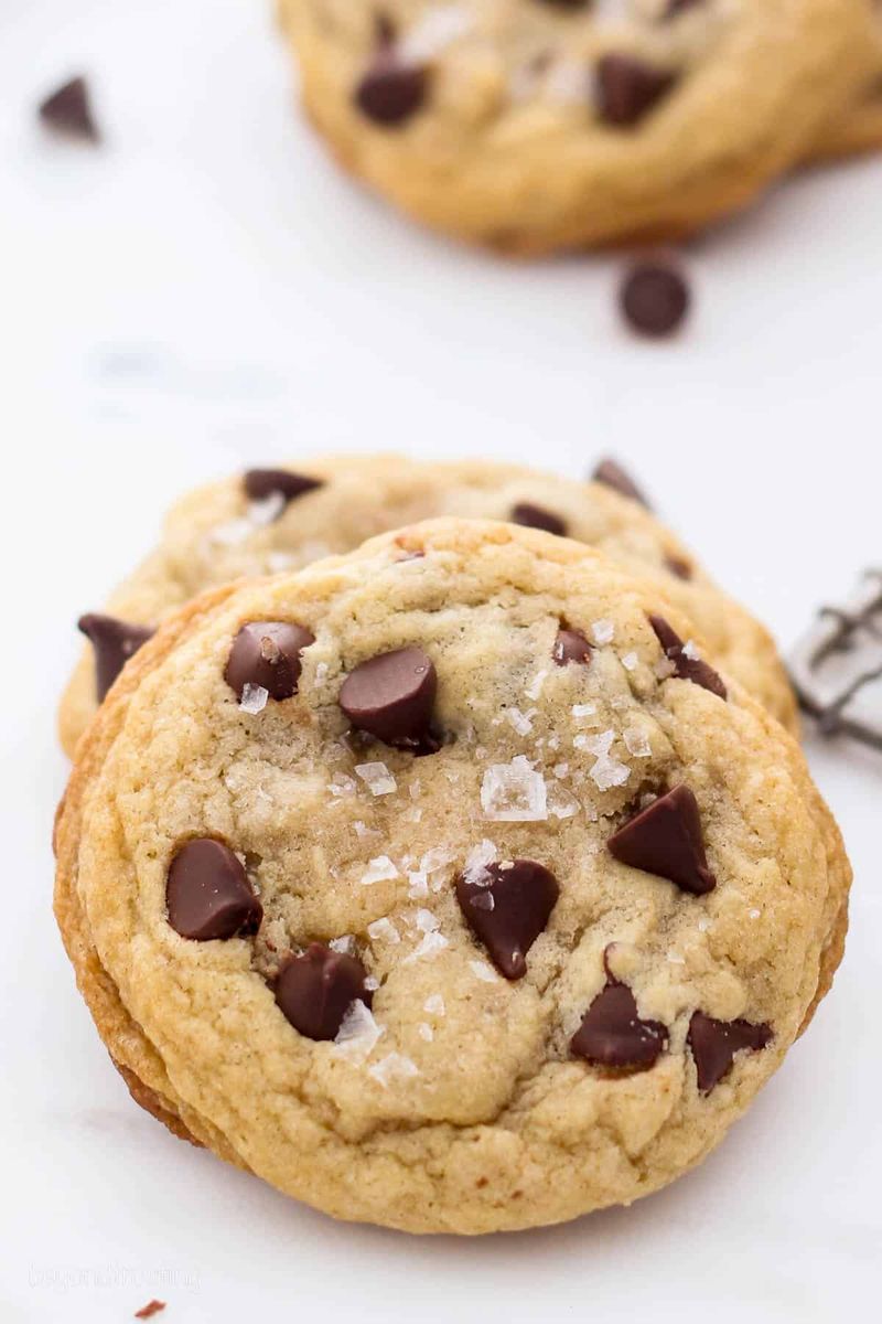 Chocolate Chip Cookie