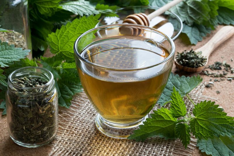 Nettle Tea
