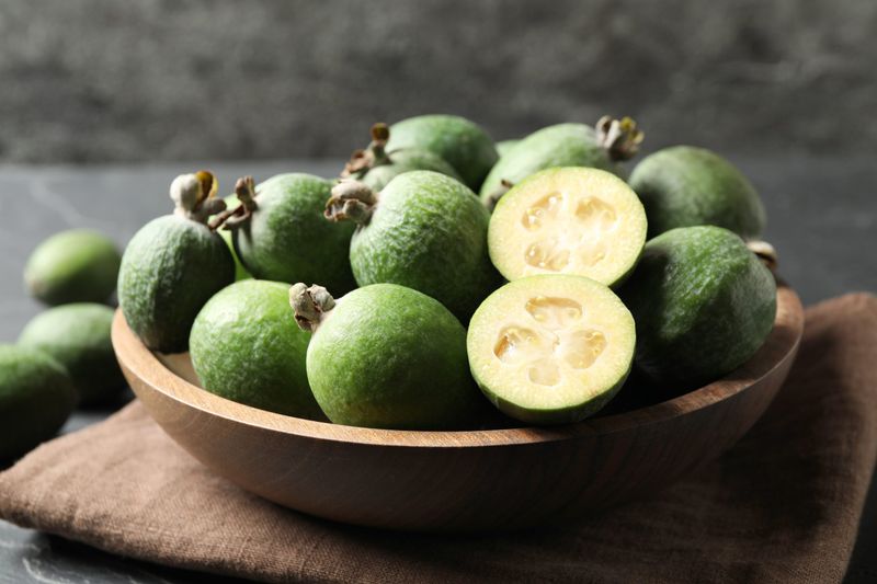 Feijoa (Pineapple Guava)