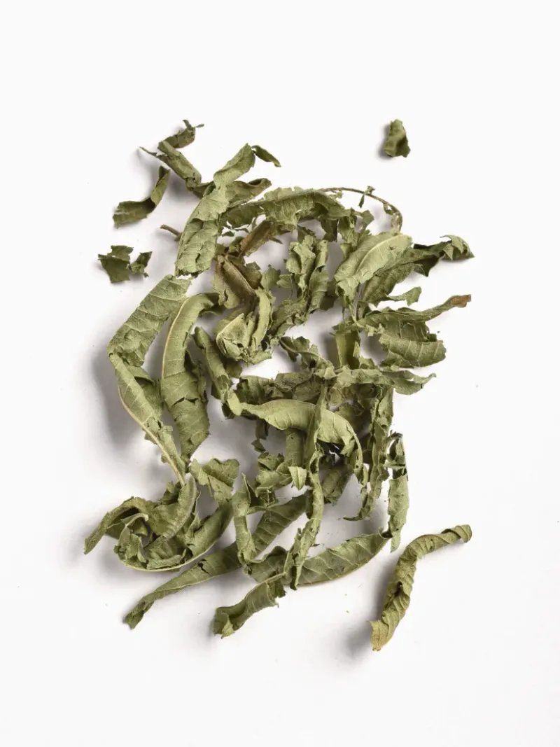 Peppermint and Lemon Verbena Tea