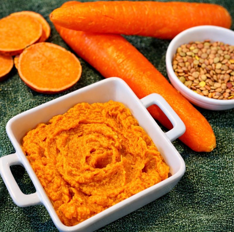 Lentil and Vegetable Soup Puree