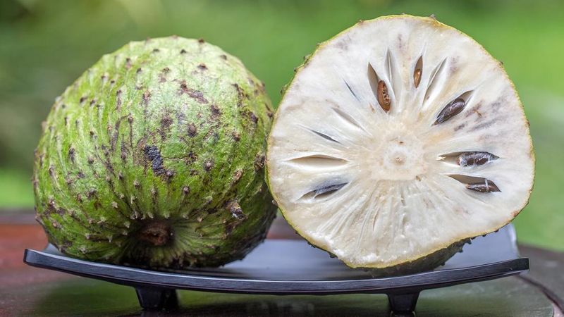 Guanabana (Soursop)