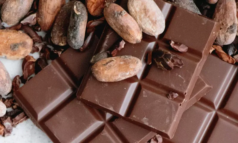 Single-Origin Chocolate Bars