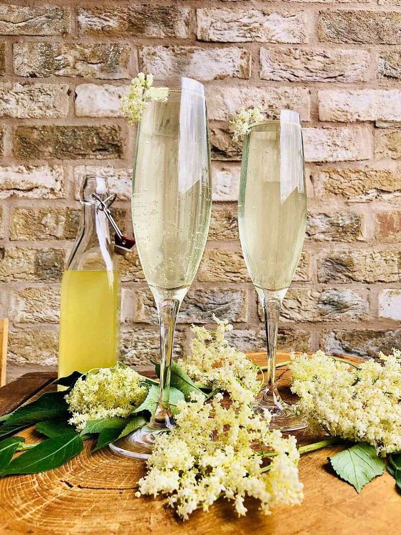 Elderflower Cordial