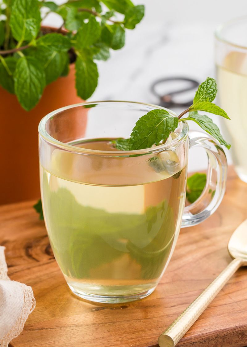 Spearmint Tea