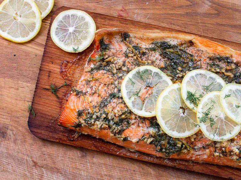 Salmon