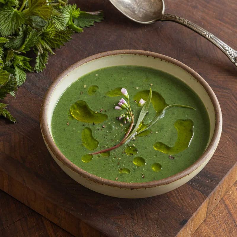 Nettle Soup