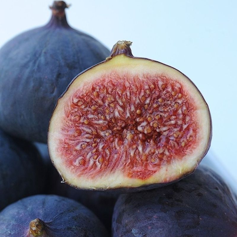 Figs