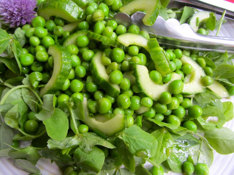 Pea Shoot And Cucumber Salad