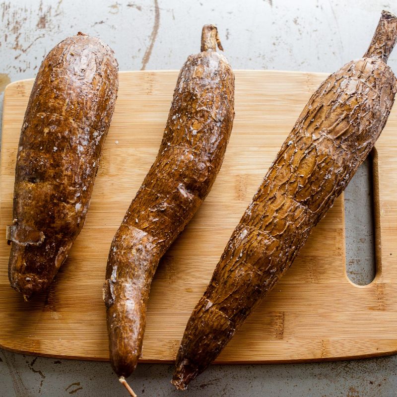 Cassava (Yuca)