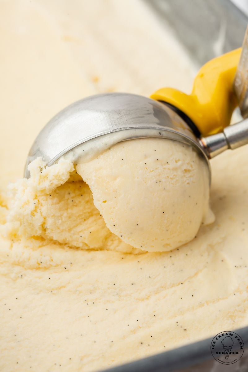 Vanilla Bean Ice Cream