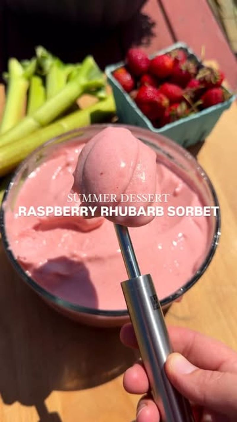 Rhubarb Sorbet