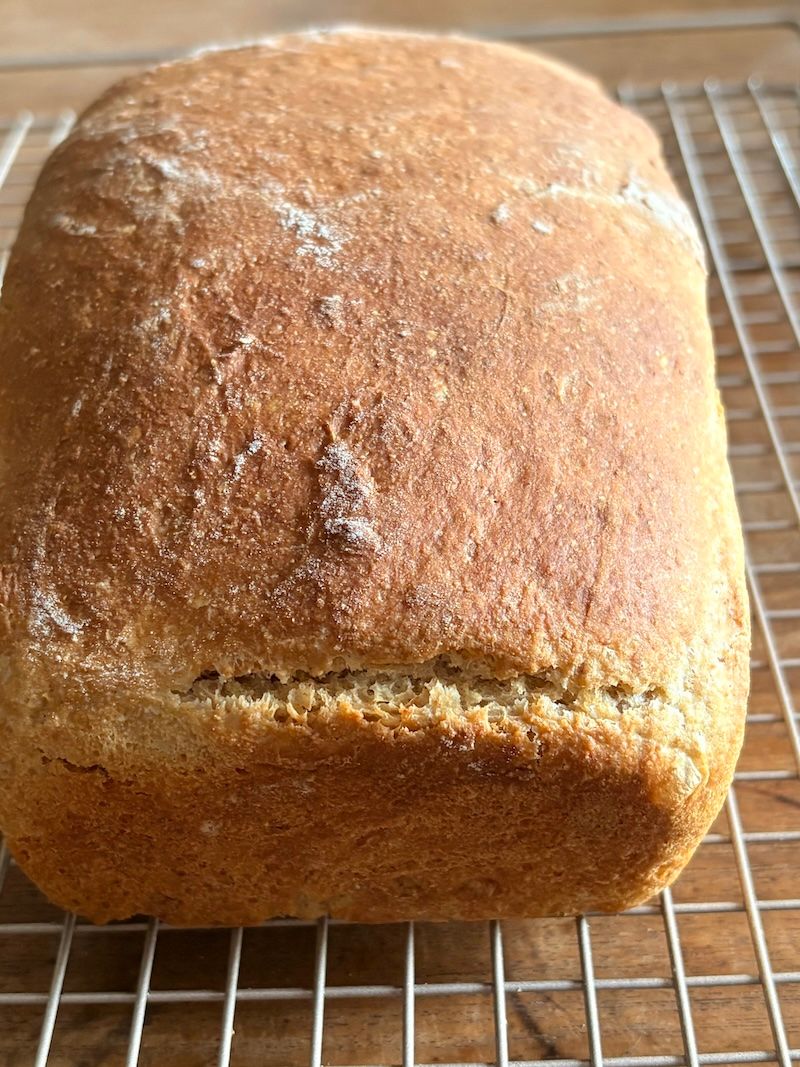 Whole Wheat Honey Loaf