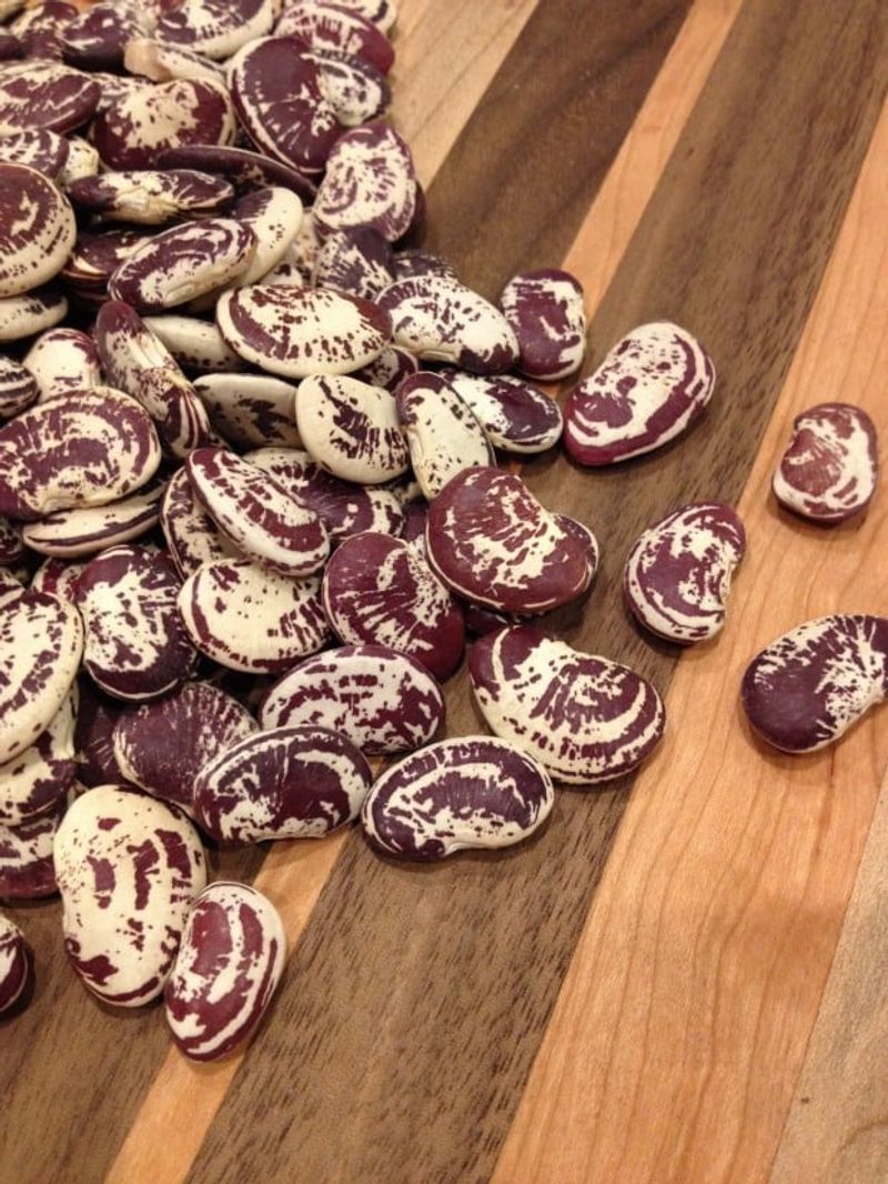 Christmas Lima Beans