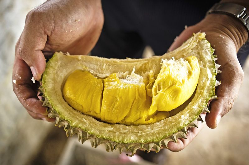 Durian – The World's Smelliest Fruit (Southeast Asia)