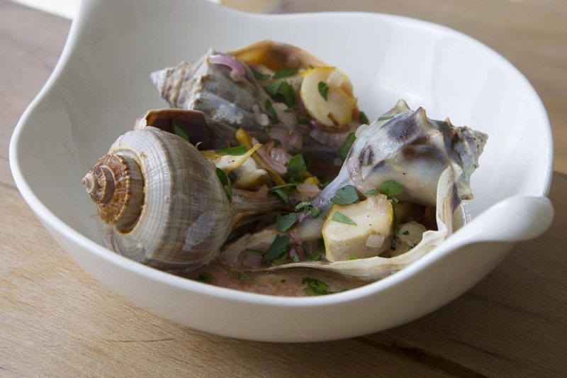 Whelk Salad with Herbs
