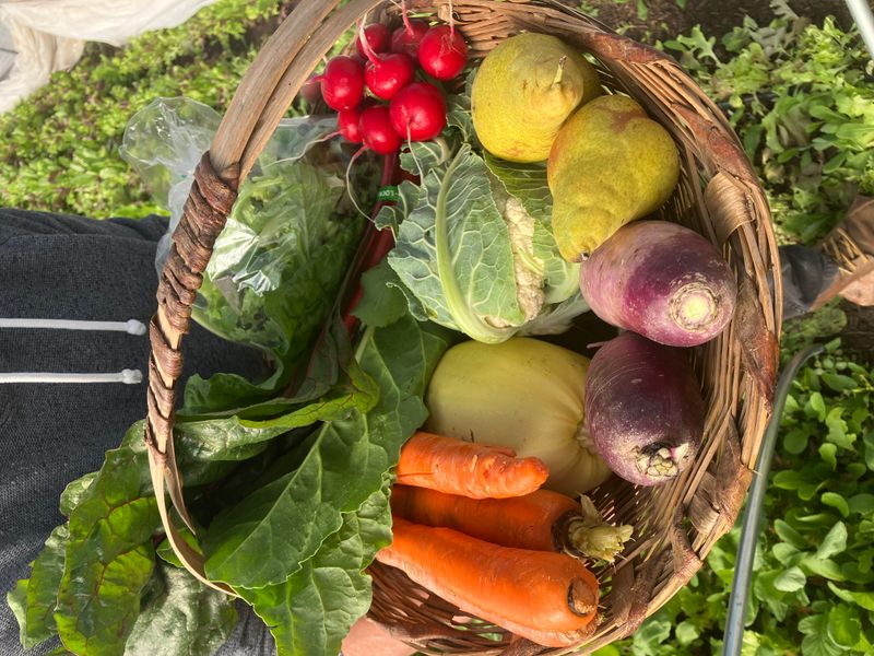 Join a Community Supported Agriculture Program