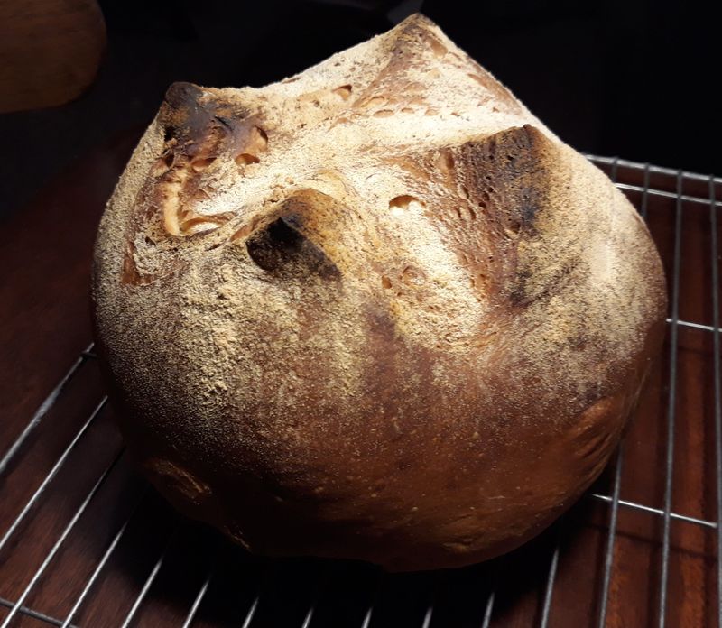 Kentish Huffkin's Cousin: The Coburg Loaf