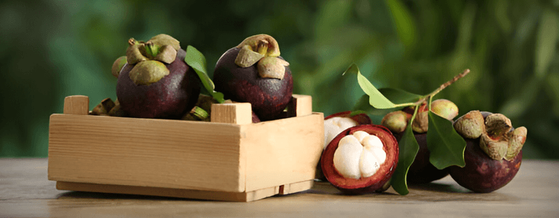 Mangosteen