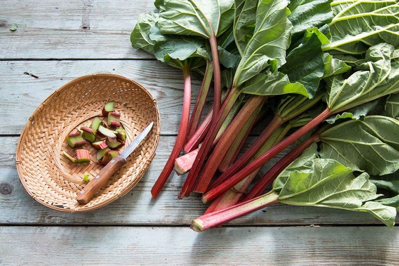 Rhubarb Leaves