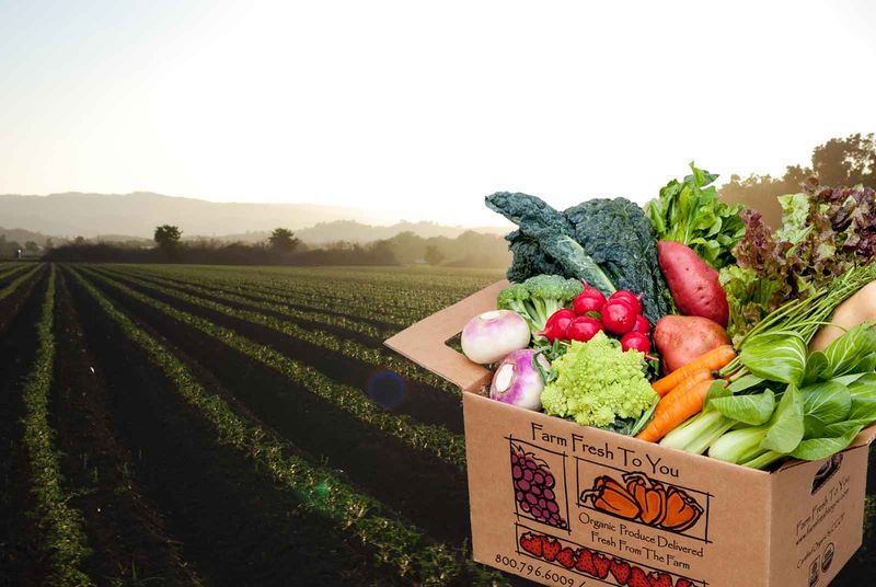 Try Organic Produce Delivery Services