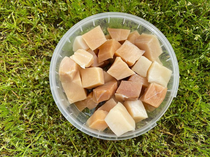 Hákarl (Fermented Greenland Shark)