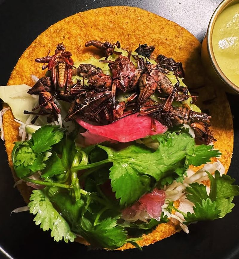 Tacos de Chapulines