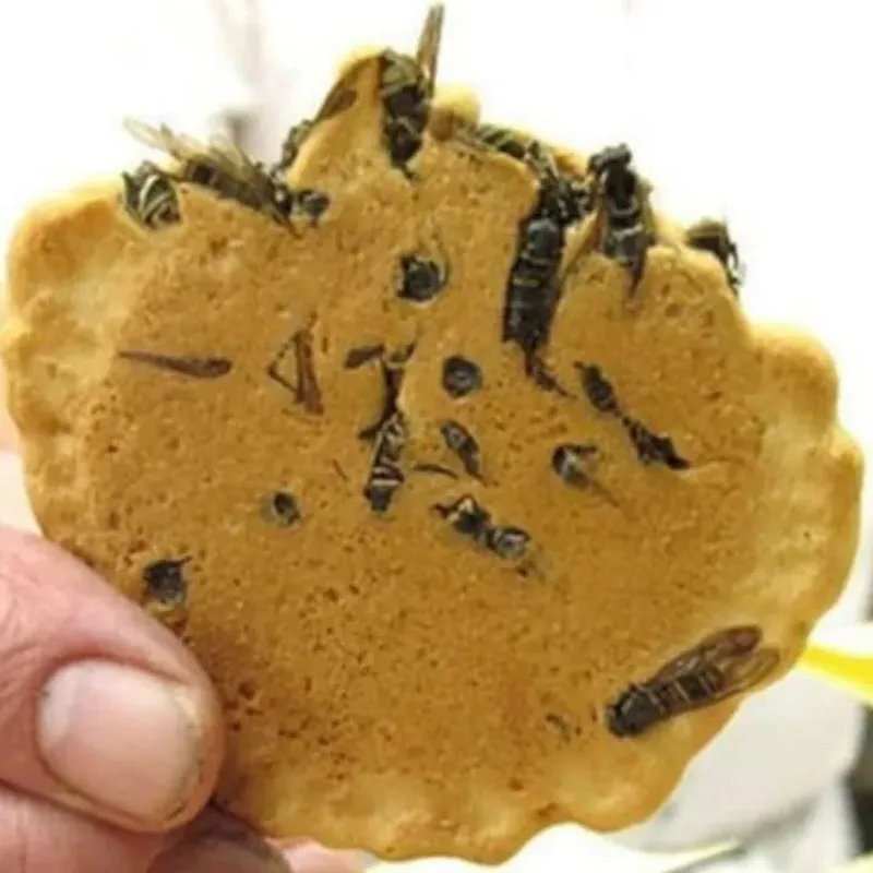 Wasp Crackers - Japan