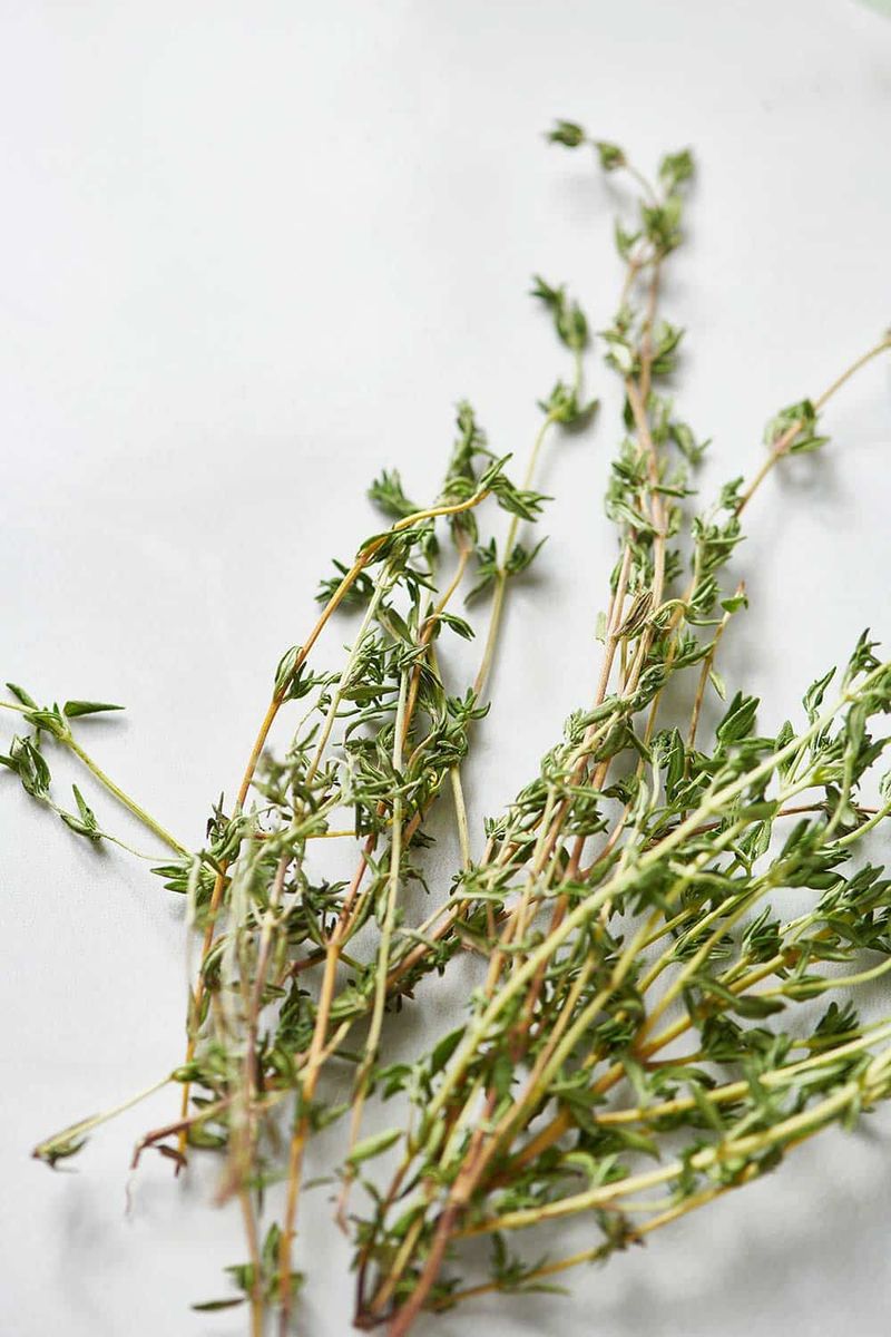Thyme