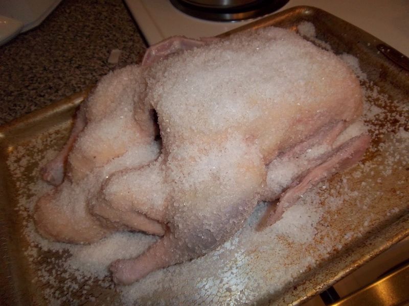 Salt Duck