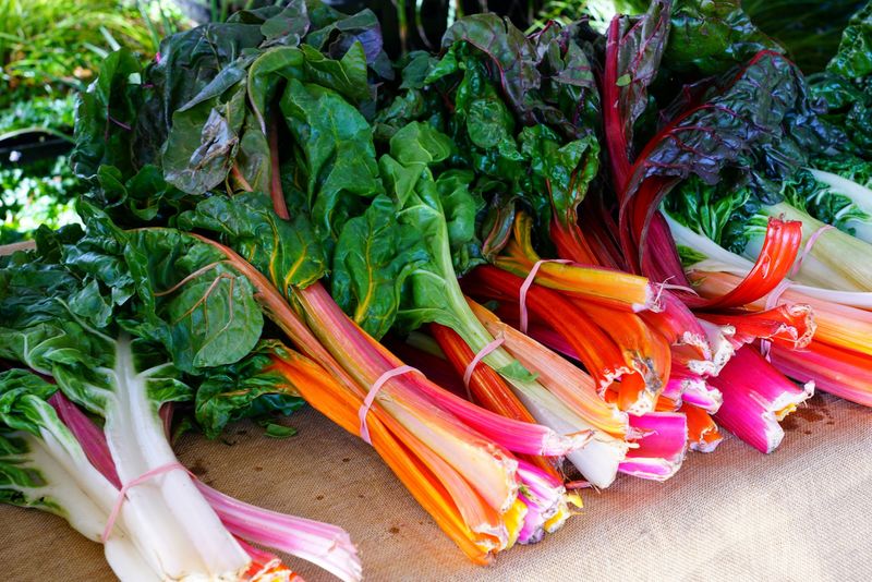 Swiss Chard