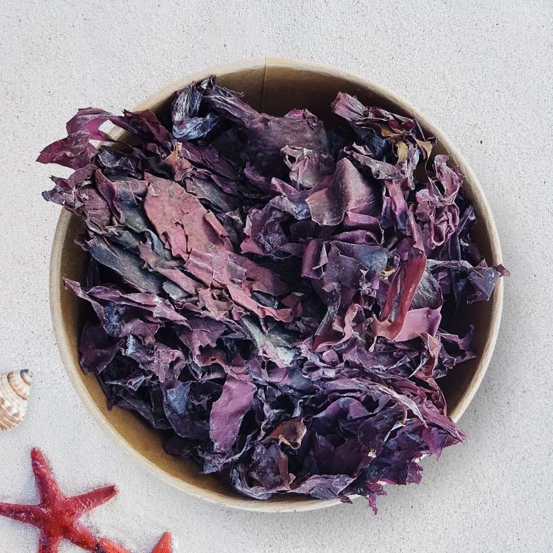 Dulse Tablet