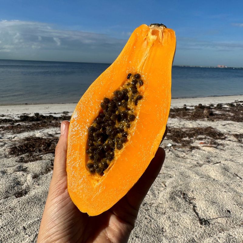 Papaya