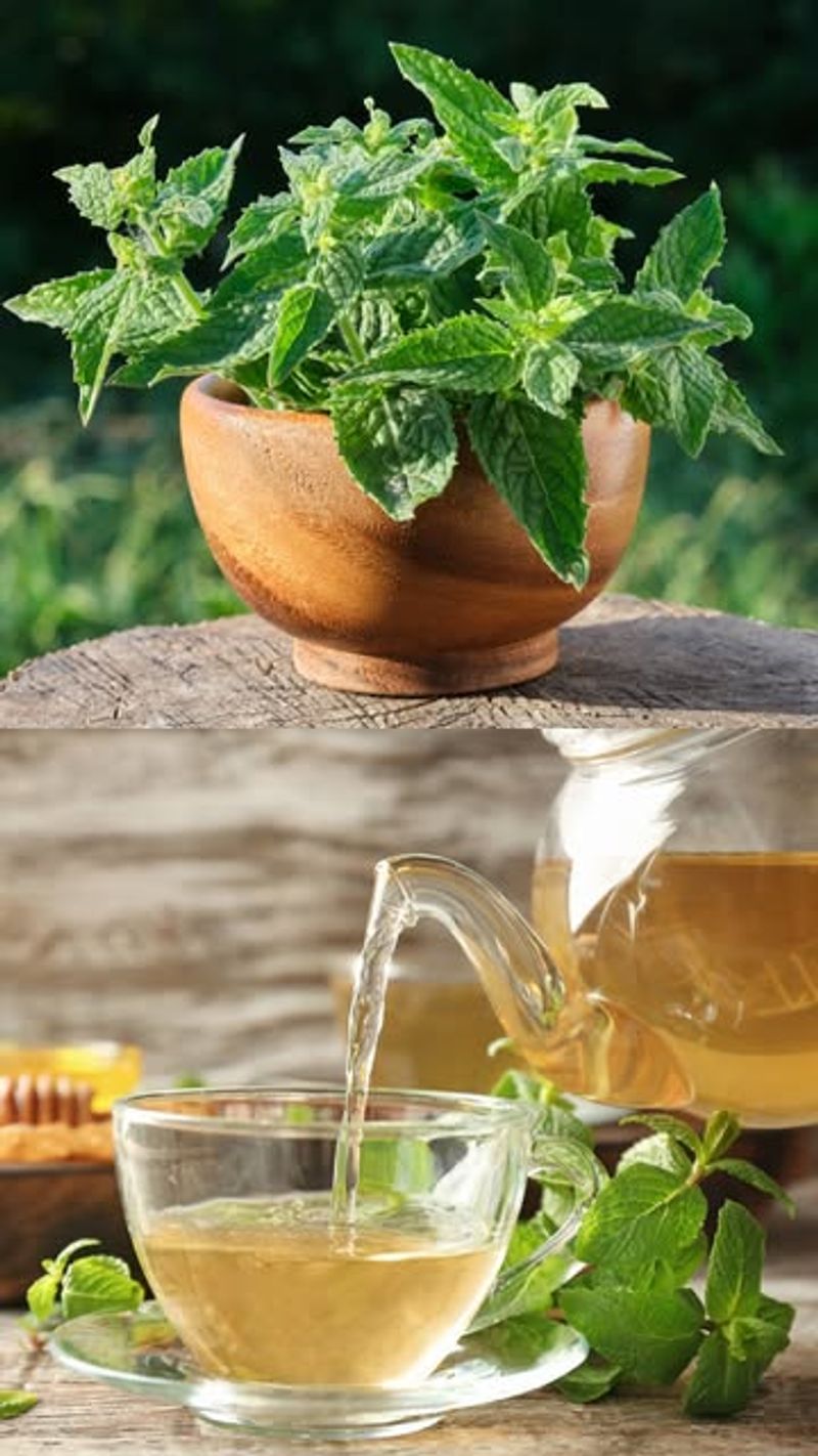 Lemon Balm and Mint Tea
