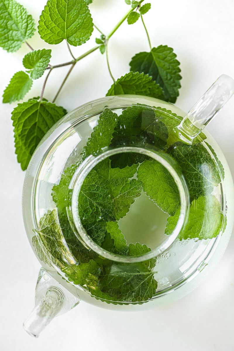 Lemon Balm Tea