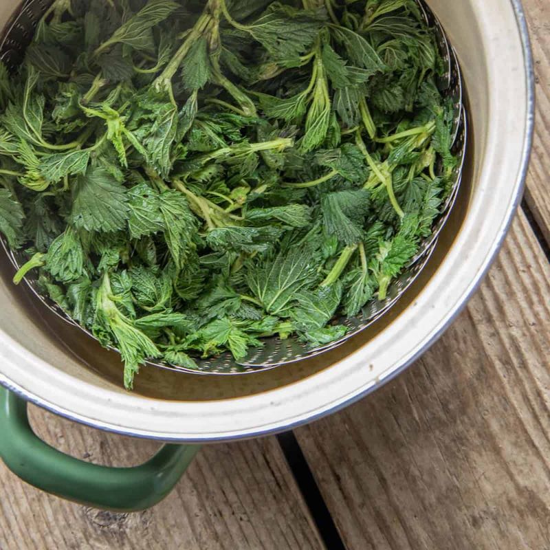 Nettles